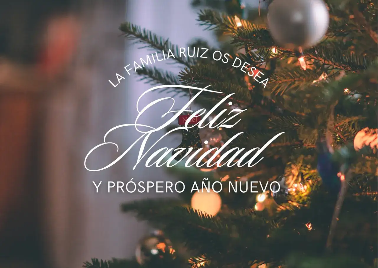 Ideas postal de navidad: La familia Ruiz os desea Feliz Navidad y Próspero Año Nuevo, con luces y adornos en un árbol.
